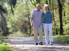 Sécurité de la vieillesse , o pensie independentă de cotizații