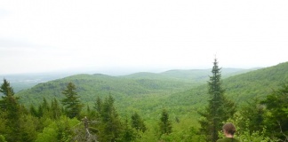 Meetup, socializare în carne și oase