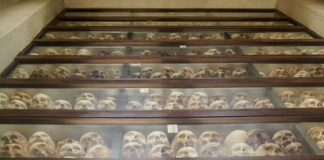 Moștenirea lui Pol Pot