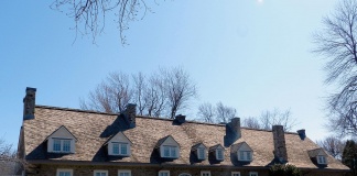 Expoziție | „Entre Nous”, o expoziție cu prezențe românești