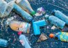 Analiză | Oceanul se îneacă în plastic
