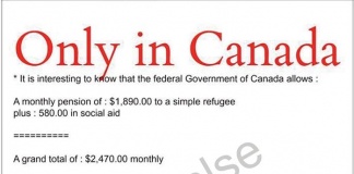 Analiză | Refugiați vs. pensionari: O legendă urbană care persistă de peste un deceniu