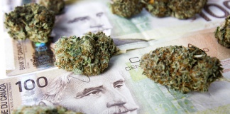 Analiză | La cine vor merge milioanele de dolari proveniți din canabisul legalizat?