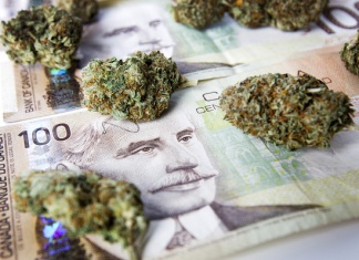 Analiză | La cine vor merge milioanele de dolari proveniți din canabisul legalizat?