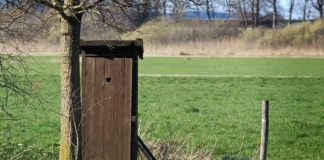 Tigrul Europei cu WC-uri în curte