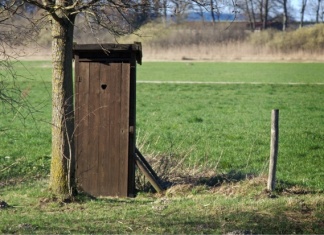 Tigrul Europei cu WC-uri în curte