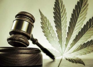 Analiză | Provocările legalizării canabisului în Quebec