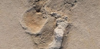 Urme umane de 5.7 milioane de ani în Creta?