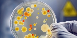 Probleme de sănătate specifice verii