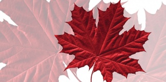 Sondaj | Cine sunt eroii Canadei?