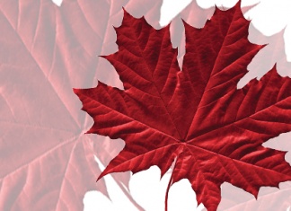 Sondaj | Cine sunt eroii Canadei?