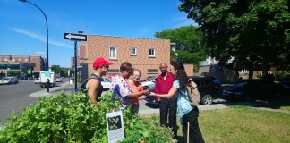 Irina Grecu despre proiectul Incredible Edibles și nevoia de a construi comunități reziliente și sănătoase