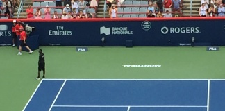 Cupa Rogers | Sorana Cârstea eliminată, Simona Halep merge mai departe