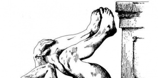 Descoperiri trăsnite: Premiile Ig Nobel pentru anul 2018. Atenție la musculițele din paharul de vin!