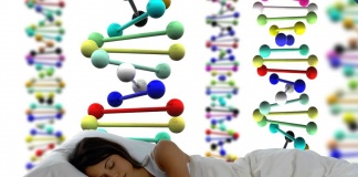 Genele care reglează visele