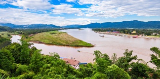 Imperii de orez (III) – Triunghiul de Aur