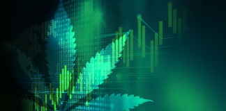 Analiză | Logica piețelor financiare va face legea pe piața canabisului