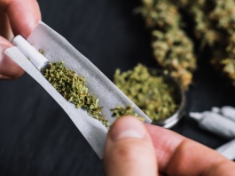 Canabis: Riscuri și beneficii. Ce spune știința?