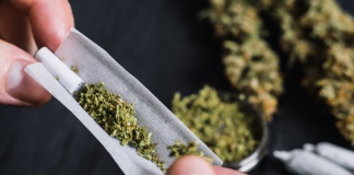 Canabis: Riscuri și beneficii. Ce spune știința?