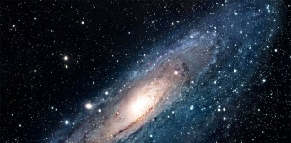 O curioasă lume de atomi: noi, între Ginghis Han şi Beethoven