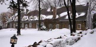 Doina Falcon participă la expoziția colectivă „Entre-Nous”