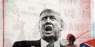 Opinie | Rădăcina problemei