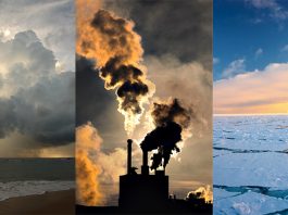 Analiză | Cauzele și consecințele schimbărilor climatice asupra mediului și vieților omenești