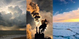 Analiză | Cauzele și consecințele schimbărilor climatice asupra mediului și vieților omenești