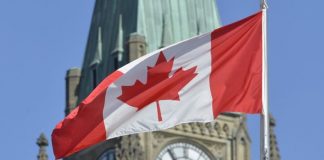 Analiză | Cât de mult este prea mult?