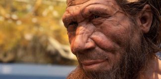 De ce a dispărut omul de Neanderthal? O nouă ipoteză: de vină este câmpul magnetic terestru!