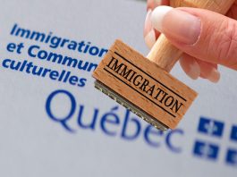 Programul ARRIMA: Ce este și cum funcționează