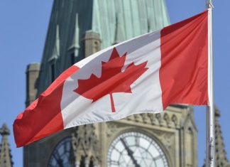 Candidații de origine română la alegerile federale din octombrie 2019