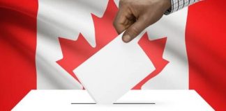 Alegeri federale 2019: Rezultatele candidaților de origine română