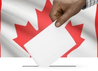 Alegeri federale 2019: Rezultatele candidaților de origine română