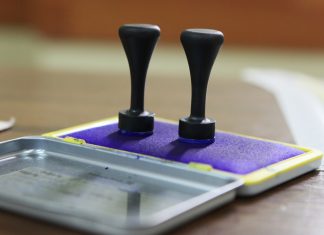 Alegeri prezidențiale 2019: Dacă românii din țară ar fi votat ca cei din diaspora