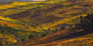 Peter Krausz, o nouă expoziție la Galeria de Bellefeuille