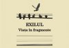 Gina Stoiciu, „Exilul: Viața în fragmente”
