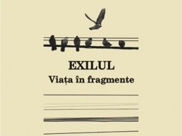 Gina Stoiciu, „Exilul: Viața în fragmente”