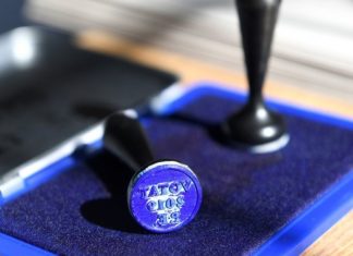 Alegeri prezidențiale 2019: Diaspora scrie istorie prin prezența la vot. Câți români au votat la Montreal?