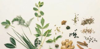 Plante medicinale utile pentru cele mai frecvente probleme digestive de sărbători