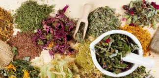 Plante medicinale nutritive