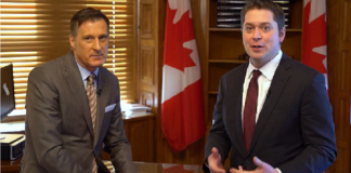 Reflecții canadeze | Un Mini Schnauzer face politică