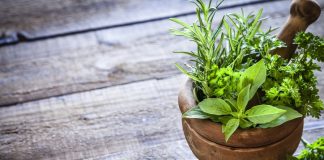 Plante utile pentru sistemul respirator