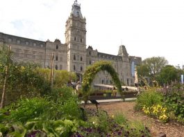 Analiză | Quebec: Mediul înconjurător înaintea identității