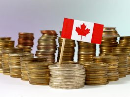 Ce este Canada Emergency Response Benefit și cui i se adresează?
