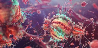 Topul celor mai mortali viruși de pe Pământ