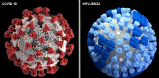 Câte decese de gripă sezonieră s-au înregistrat de la începutul pandemiei de COVID-19?