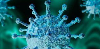 Rezistă virusul SARS-CoV-2 înghețului?