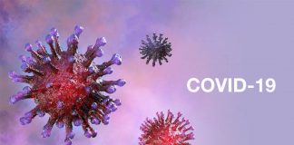 INSPQ: Proiecții ale impactului reluării treptate a activităților economice și sociale în Quebec