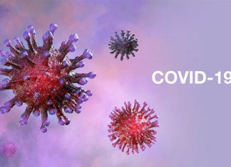 INSPQ: Proiecții ale impactului reluării treptate a activităților economice și sociale în Quebec